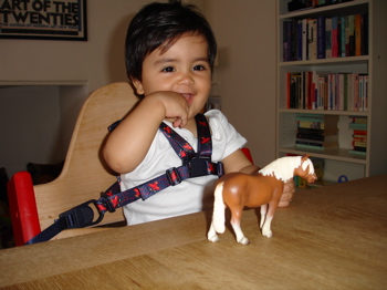 Horse 2.jpg
